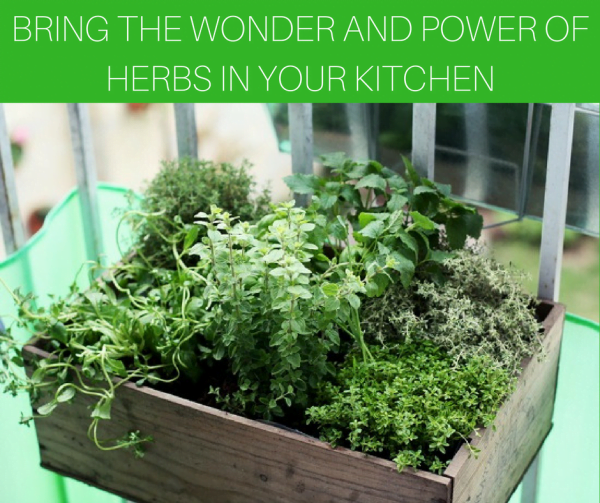 Bring the wonder and power of herbs in your kitchen