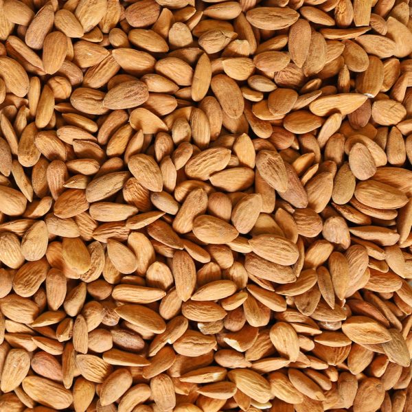 Organic Almonds, European, Raw