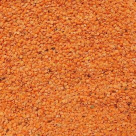 red split lentils