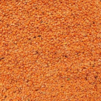 red split lentils