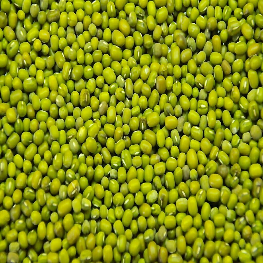 Mung Beans Organic The French Raw Chef